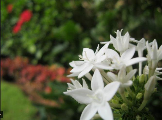 215917_1629615310027_7308100_n