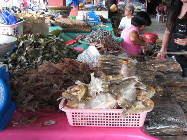 315456_2139521140310_5959993_n