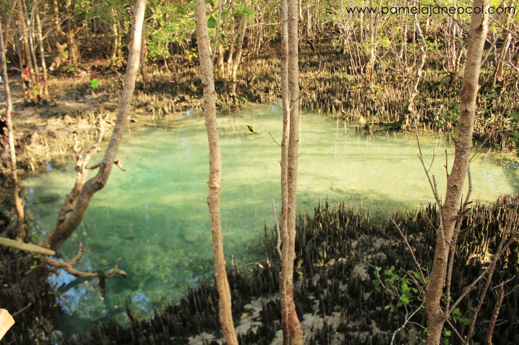 Siquijor hot spring