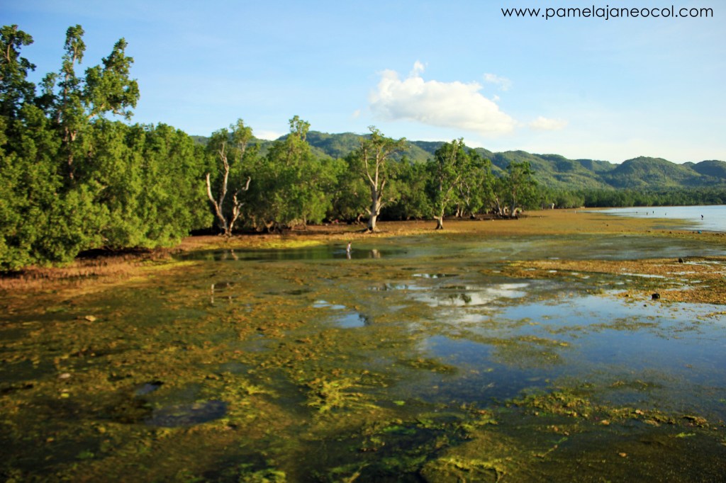 Siquijor hot spring